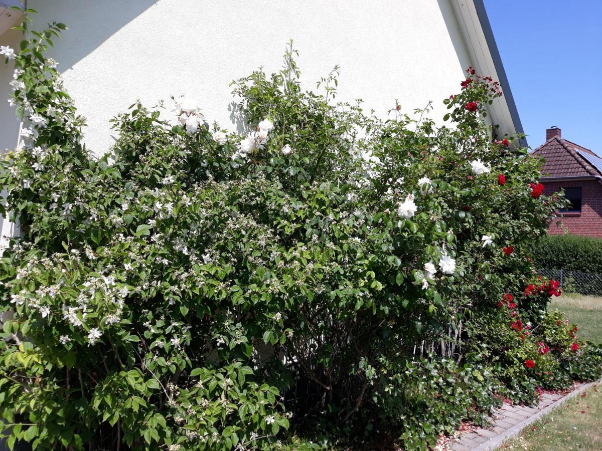 Ferienwohnung Ott Amelinghausen Ngoại thất bức ảnh