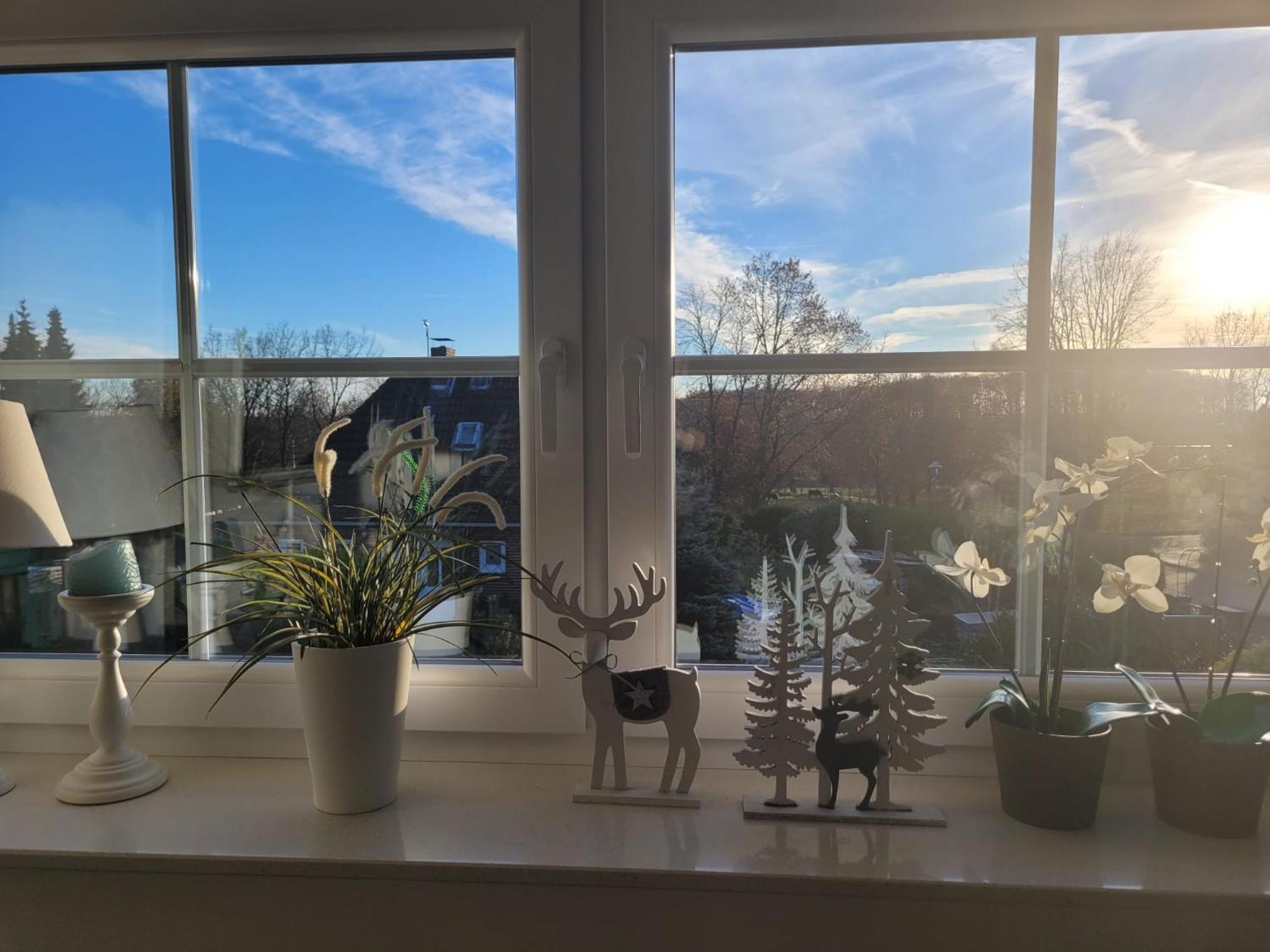 Ferienwohnung Ott Amelinghausen Ngoại thất bức ảnh